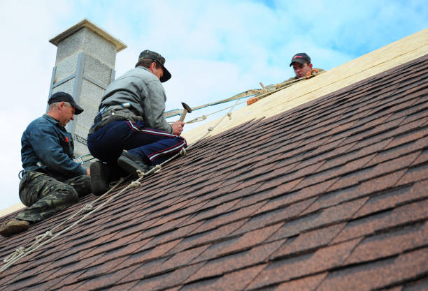 Best Roofing Contractor Near Me  in Hercules, CA